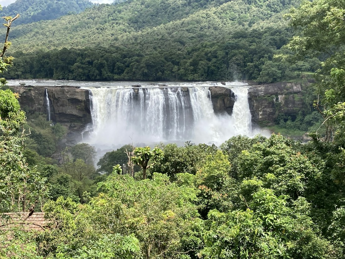 Athirappilly waterfall surrounded by forest
